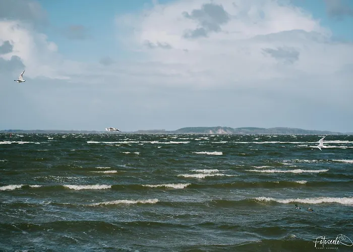 Tipi 365 - Strandnahes Ferienhaeuschen Mit Terrasse Und Kostenfreier Nutzung Des Ahoi!-schwimmbades In Sellin *