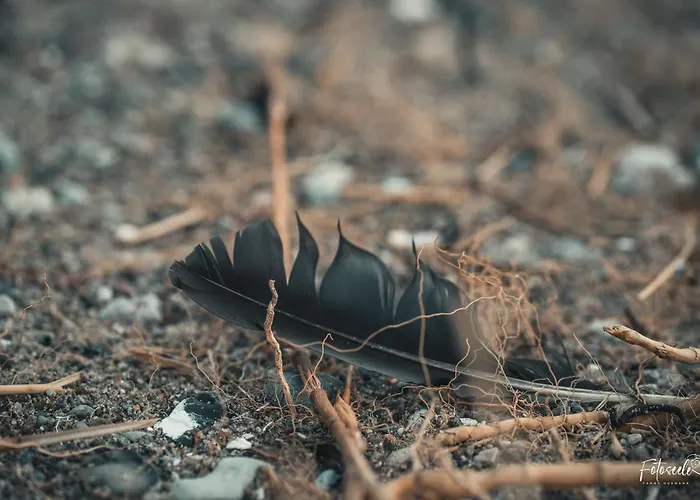 Tipi 365 - Strandnahes Ferienhaeuschen Mit Terrasse Und Kostenfreier Nutzung Des Ahoi!-schwimmbades In Sellin * Goehren (Ruegen)